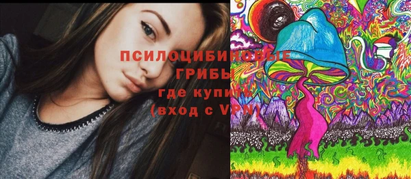 mdpv Арсеньев