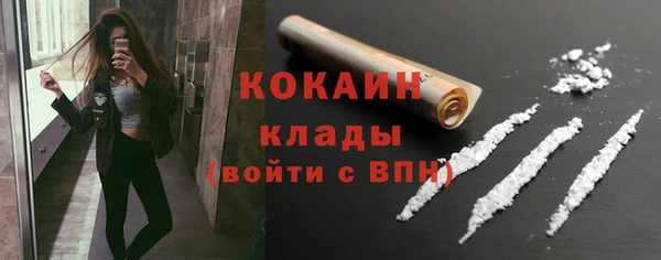стаф Аркадак
