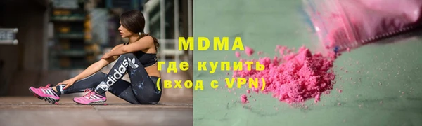 стаф Аркадак