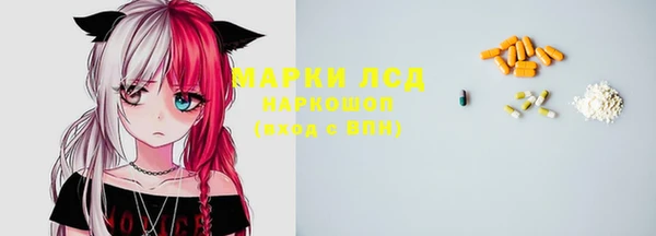 стаф Аркадак