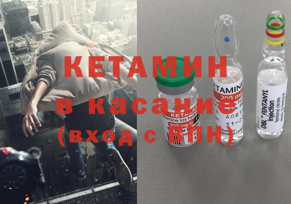стаф Аркадак