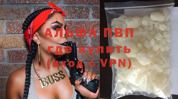 стаф Аркадак