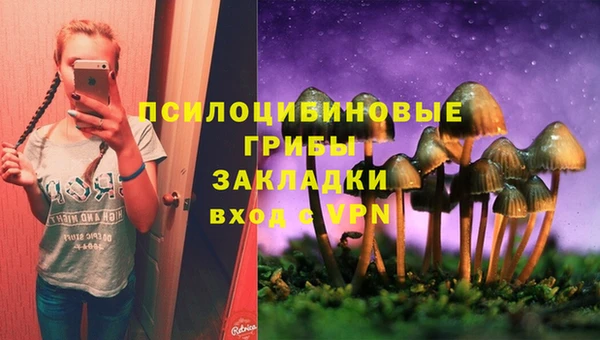 mdpv Арсеньев