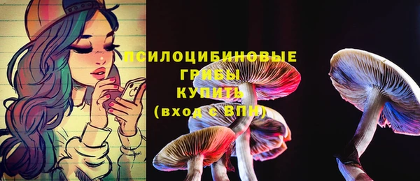 стаф Аркадак