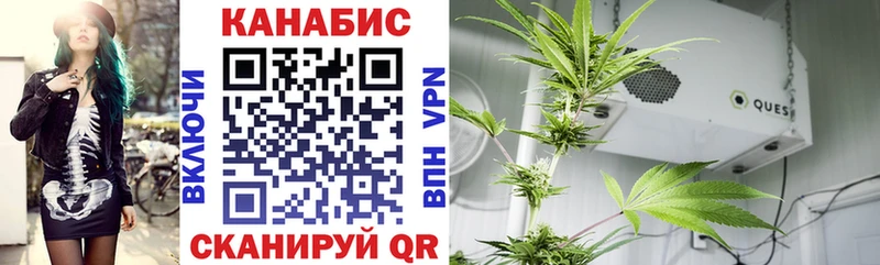 Каннабис тримм Порхов